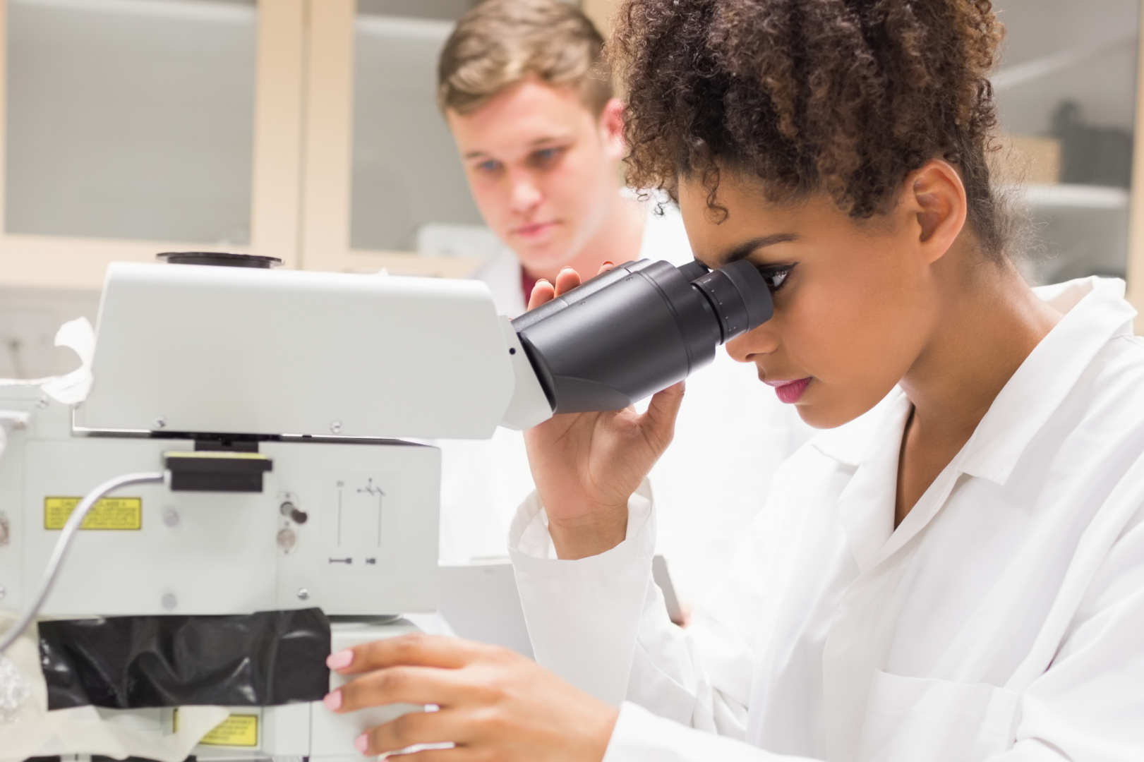 interior banner image