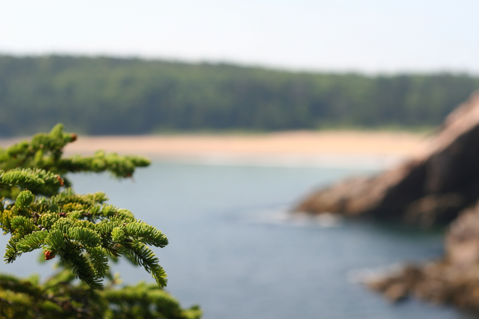 interior banner image